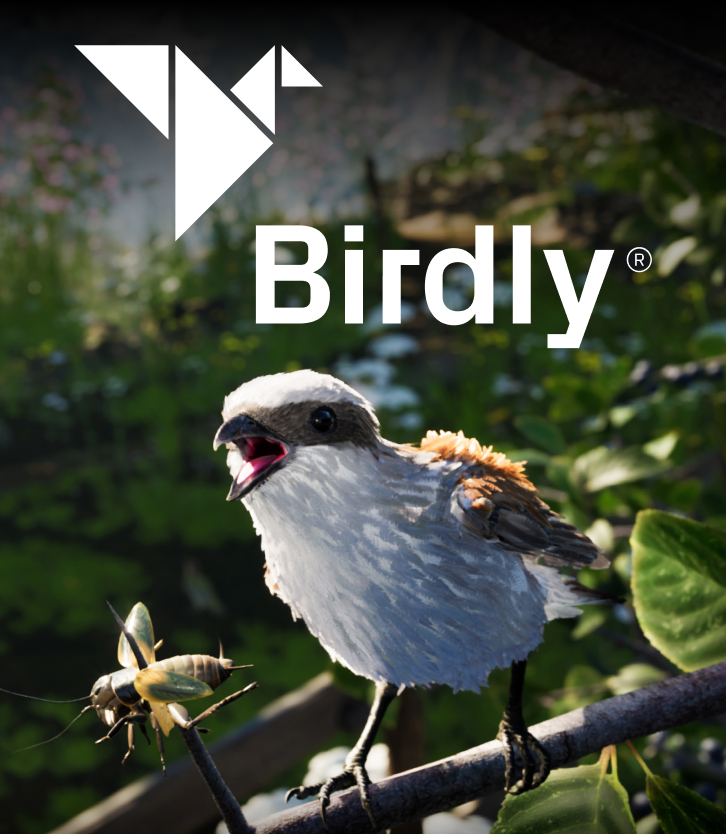 Birdly