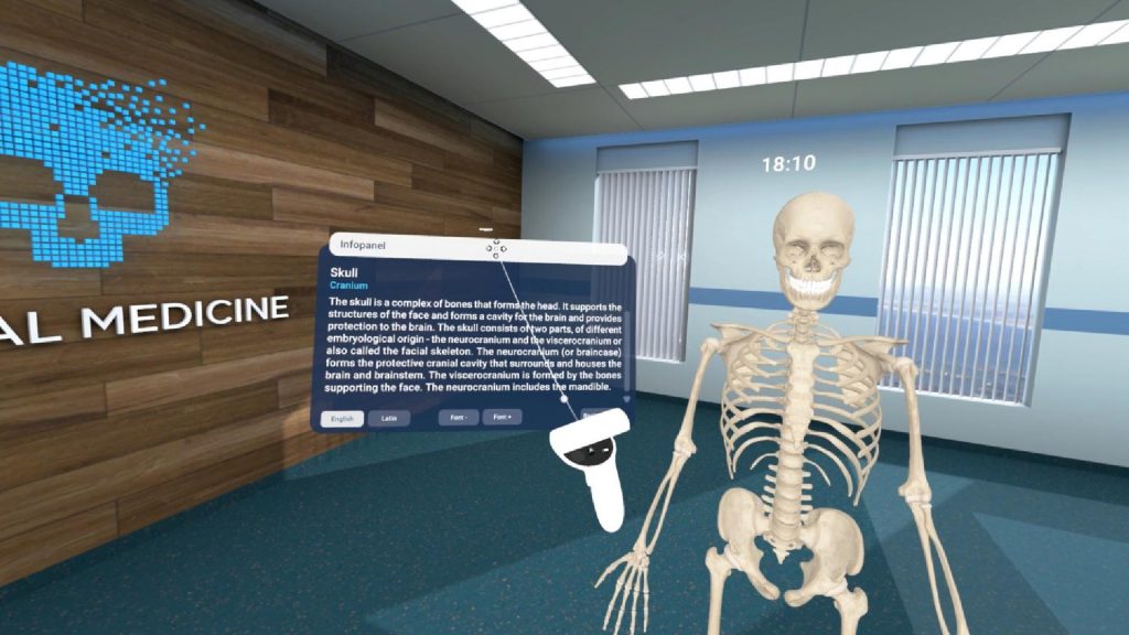 Human Anatomy VR game