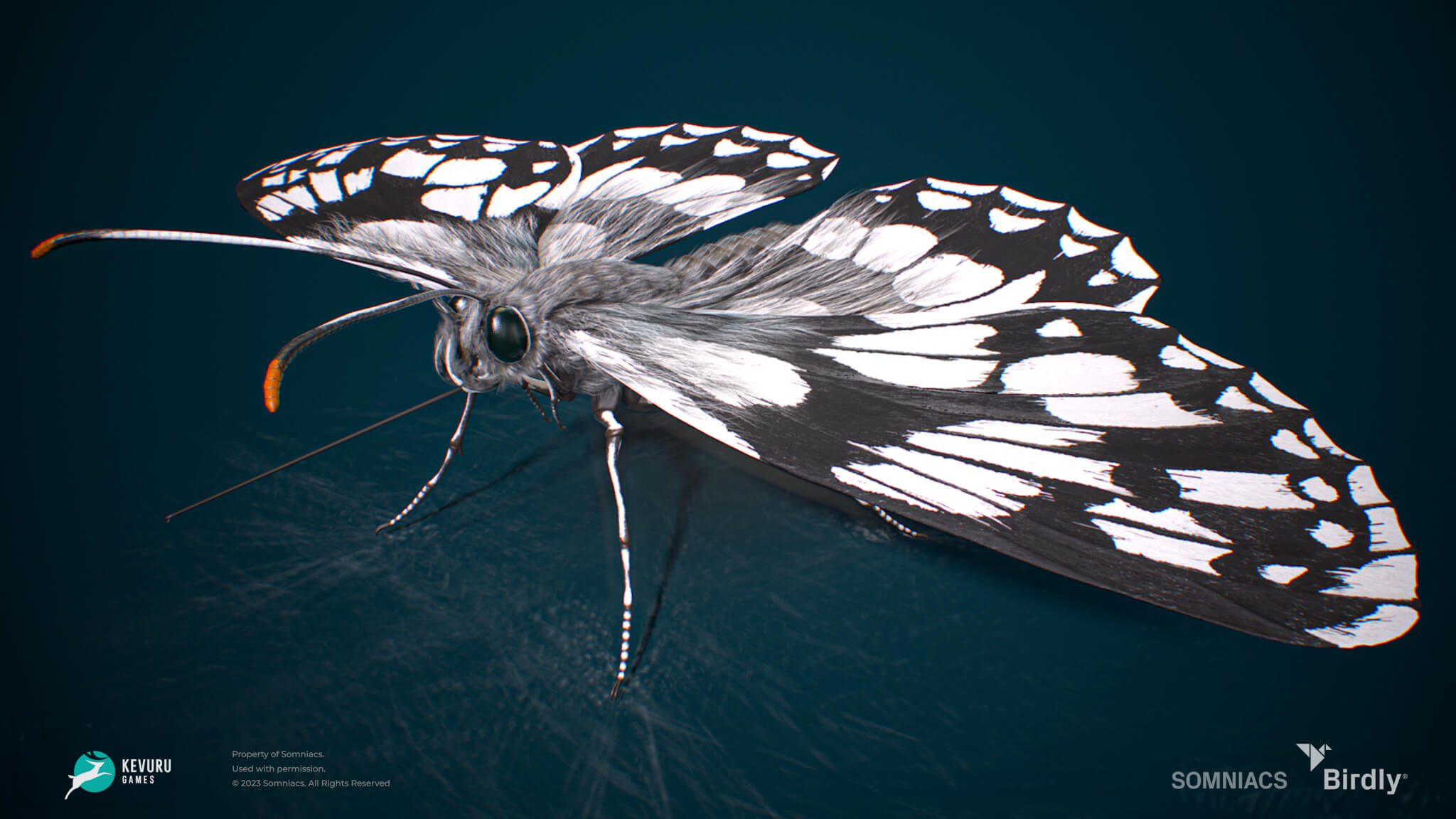 birdly white butterfly 3d