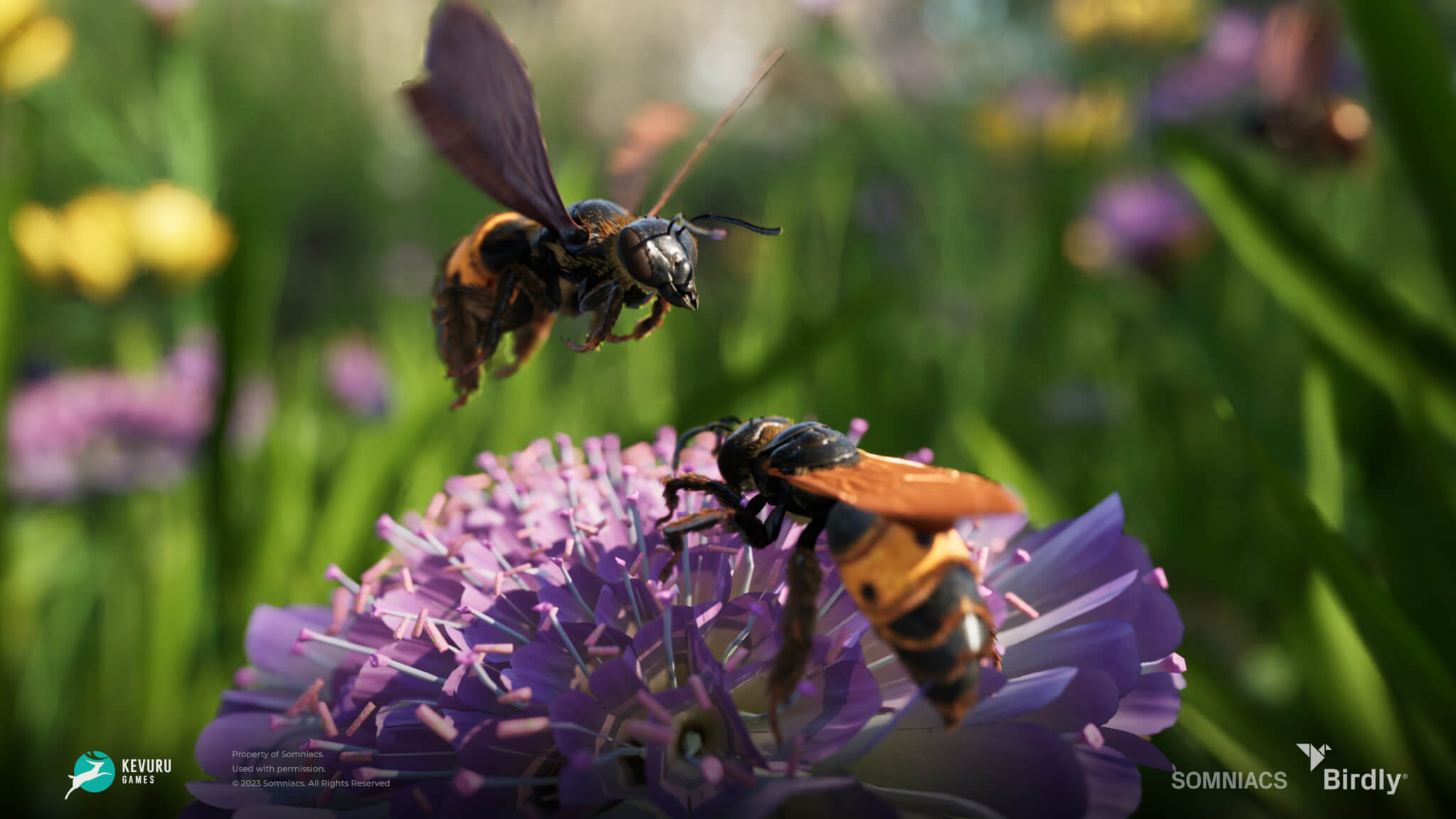 3D environment – Insects 5