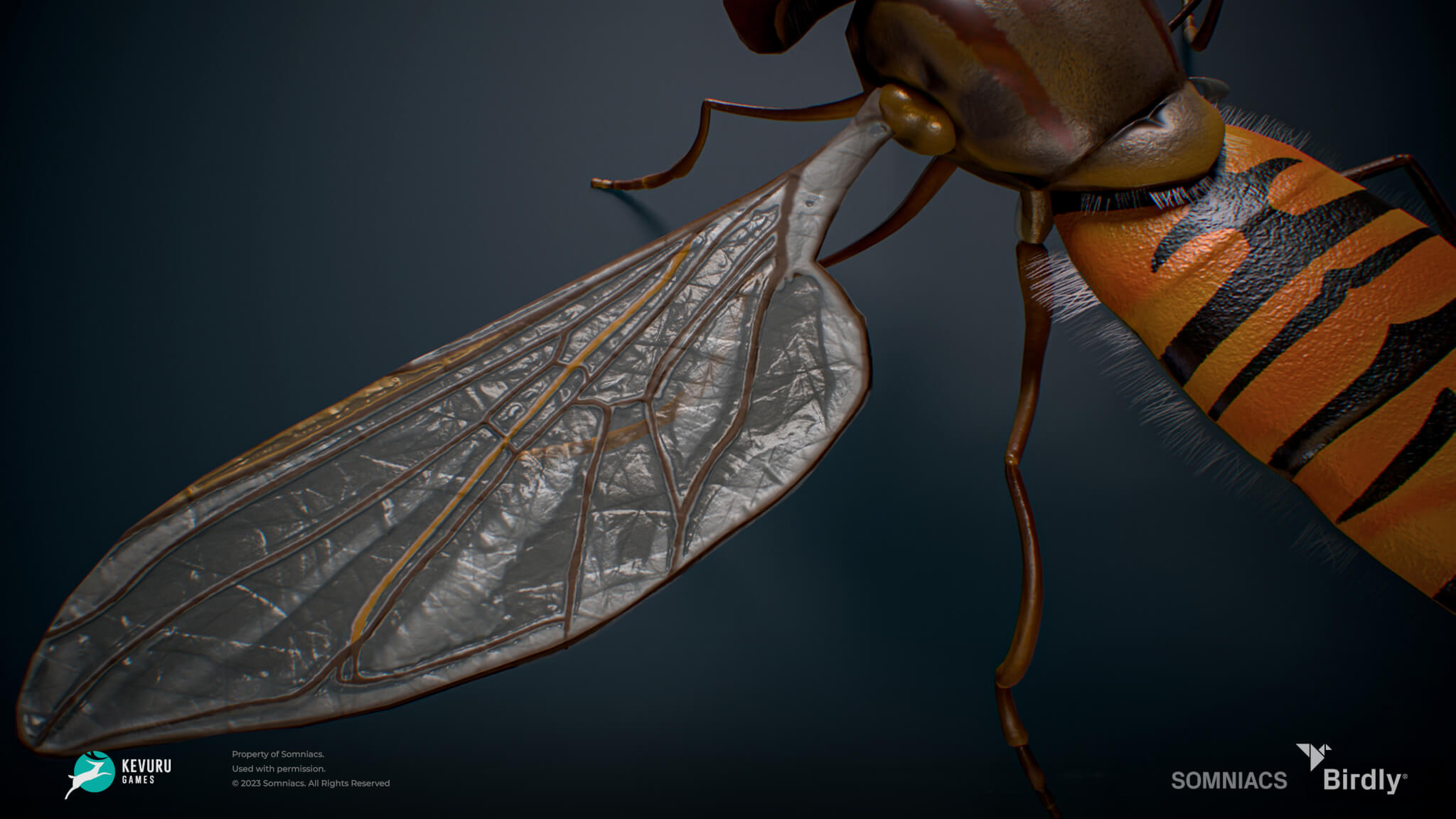 Birdly insect 3d