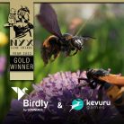Kevuru Games and the Birdly Insects Project Win Gold at NYX Game Awards